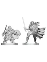 WizKids D&D Nolzur: Dwarf Fight & Orc Paladin (W29)