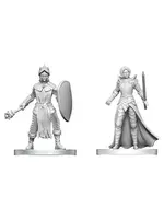 WizKids D&D Nolzur: Black Gauntlet & Zhentilar Paladin of Bane (W29)