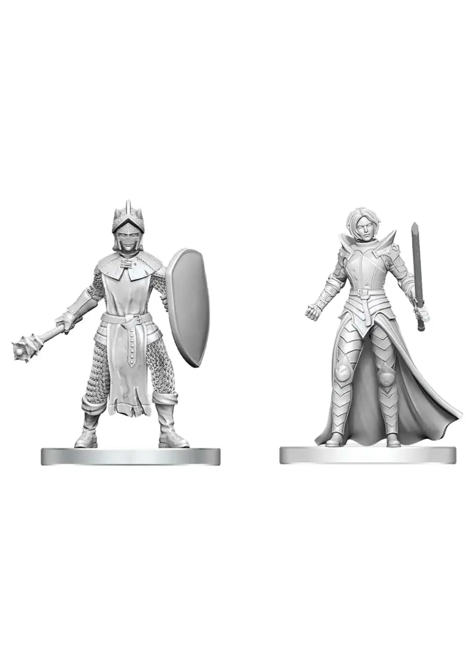 WizKids D&D Nolzur: Black Gauntlet & Zhentilar Paladin of Bane (W29)