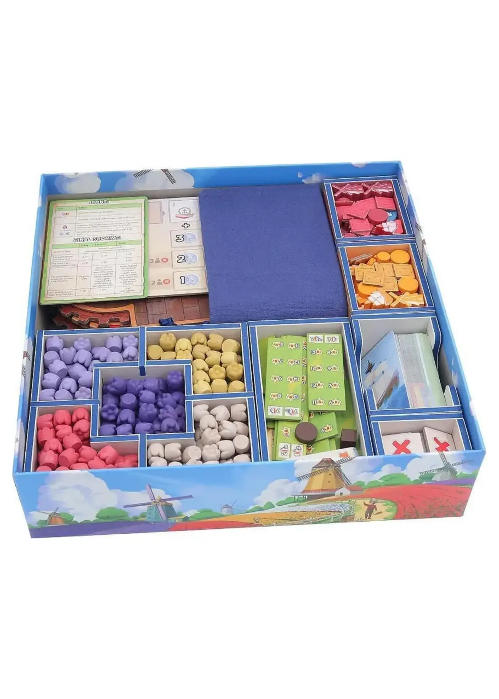 Folded Space Box Insert: Color: Windmill Valley