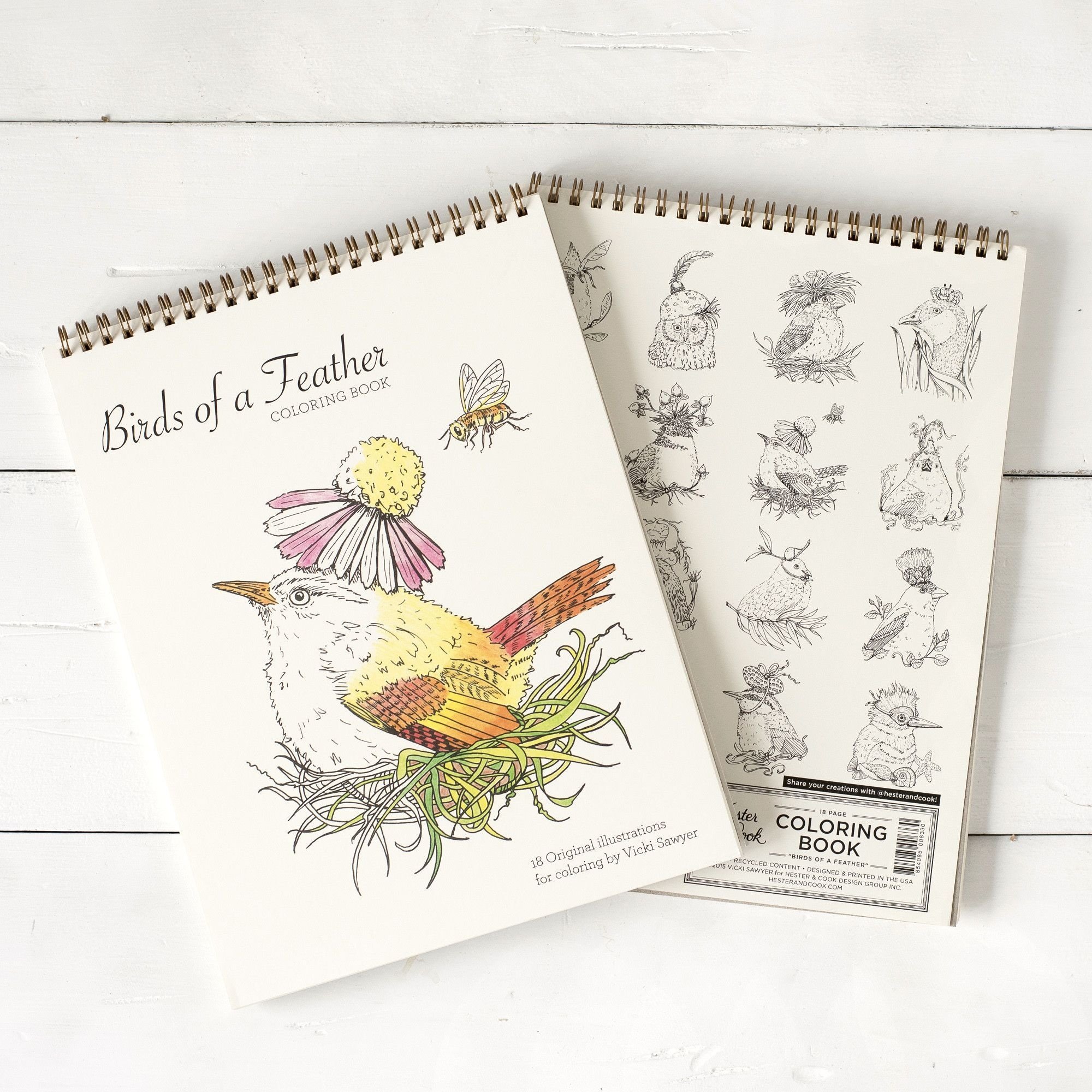 Download Birds Of A Feather Coloring Book Vicki Sawyer Pf617vs Adorn Goods