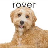 Roverworks Rover Barkington Edition