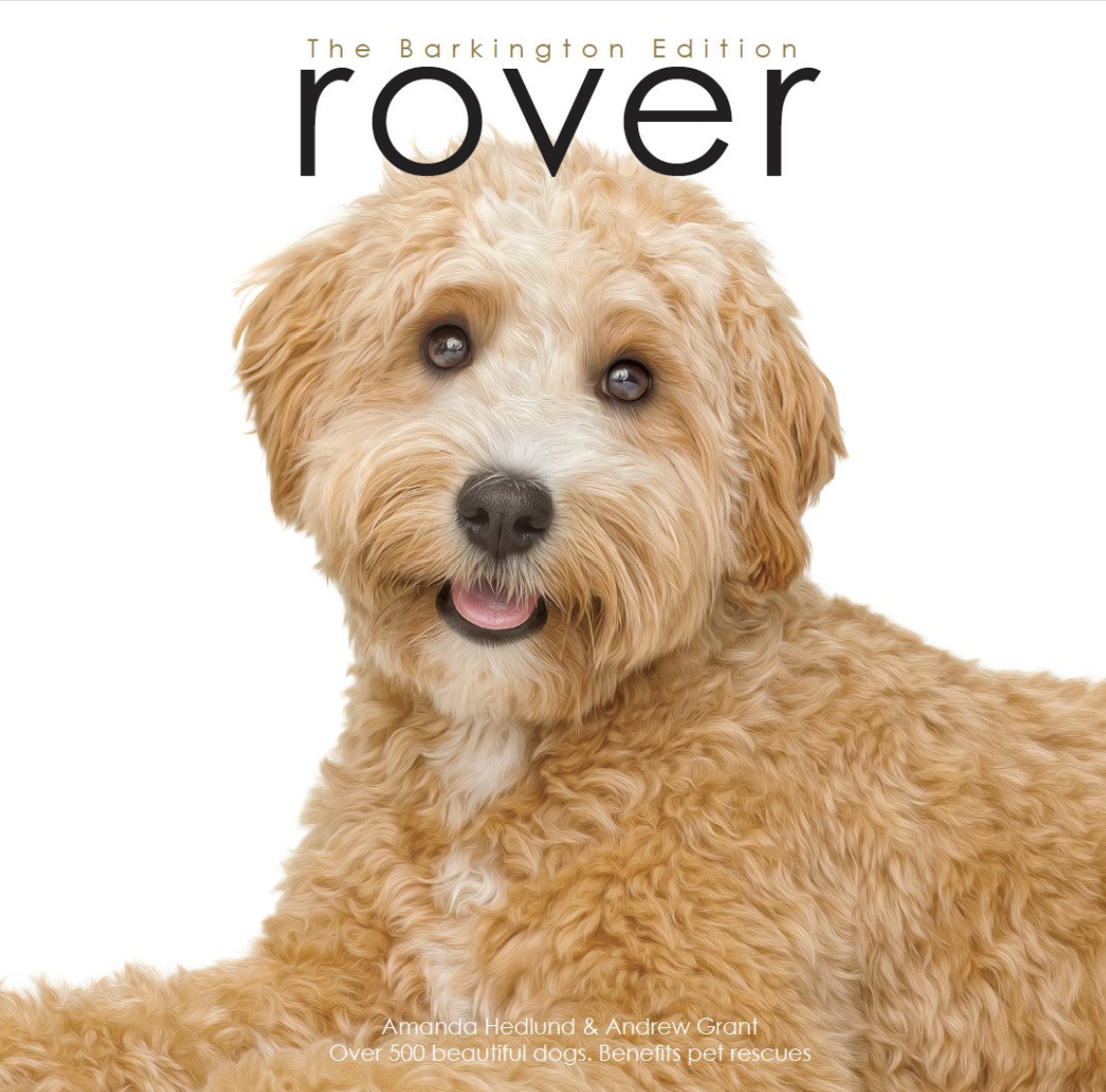 Roverworks Rover Barkington Edition Book