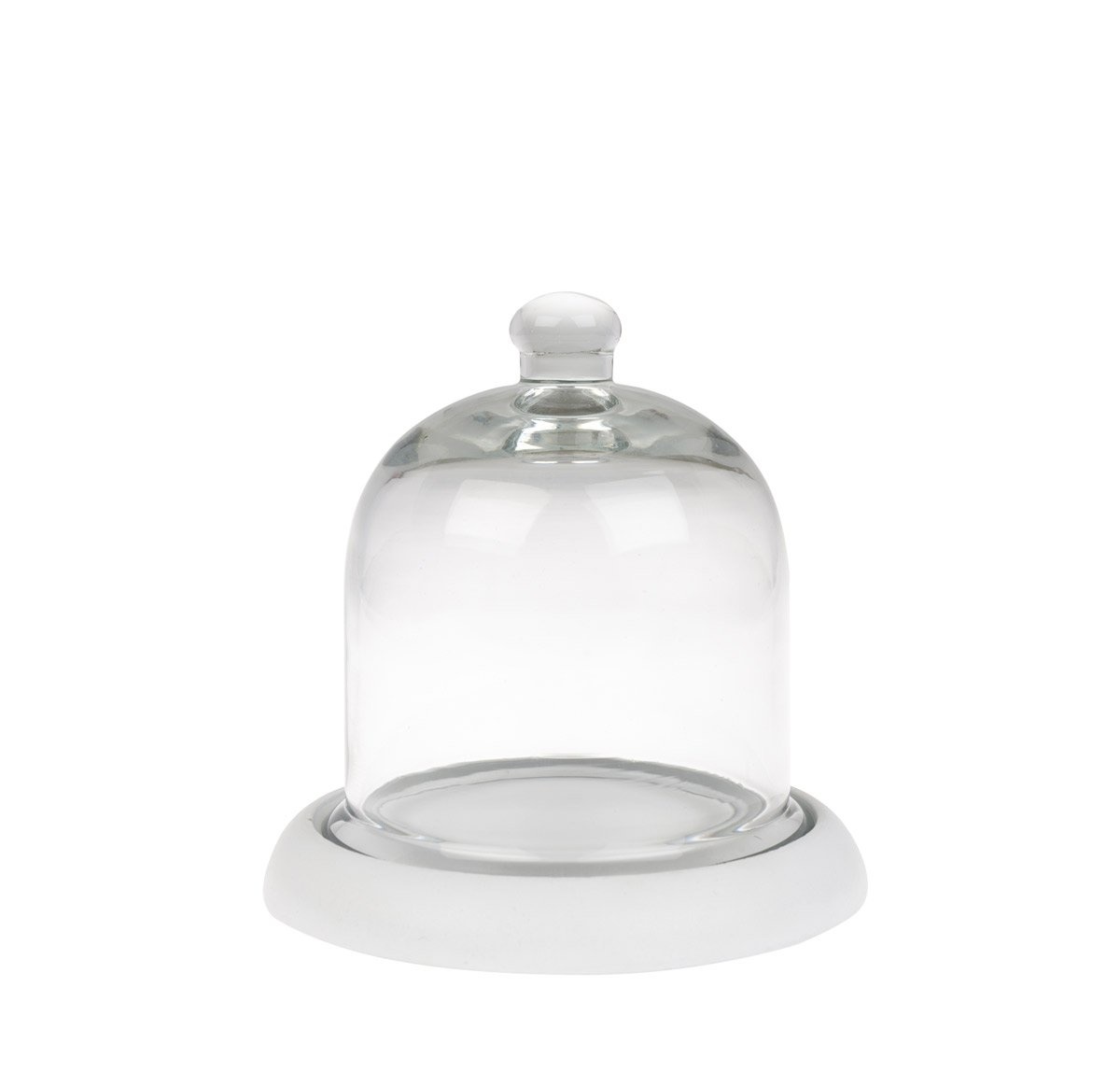 Sophie Allport Glass Cloche w/Wooden Base