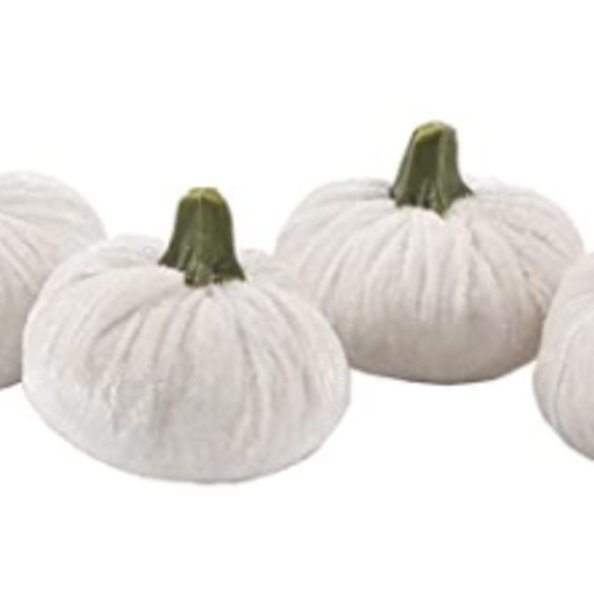 Faire Velvet Pumpkin- Cream