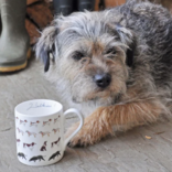 Walkier Dog Mug