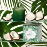 LAFCO Treehouse - Jungler Blooms - LAFCO Candle