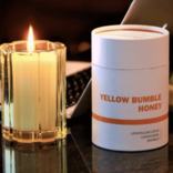 Thompson Ferrier Yellow Bumble Honey