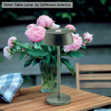 Zafferano Sister Light Table Lamp Green Anodized