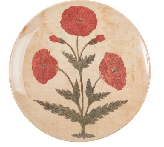 Siren Song Poppy Dinner  Plates - Red