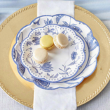 Kate Aspen Blue Willow 9 in. Plates