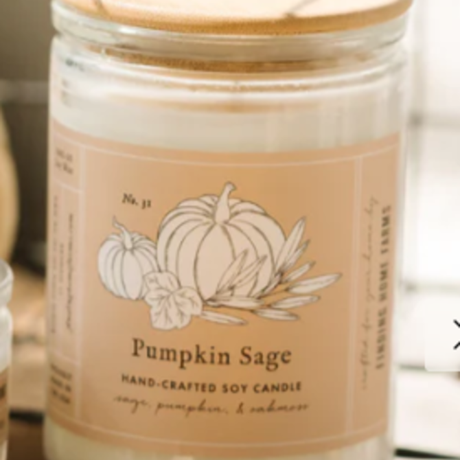 Finding Home Farms Pumpkin Sage Candle Large