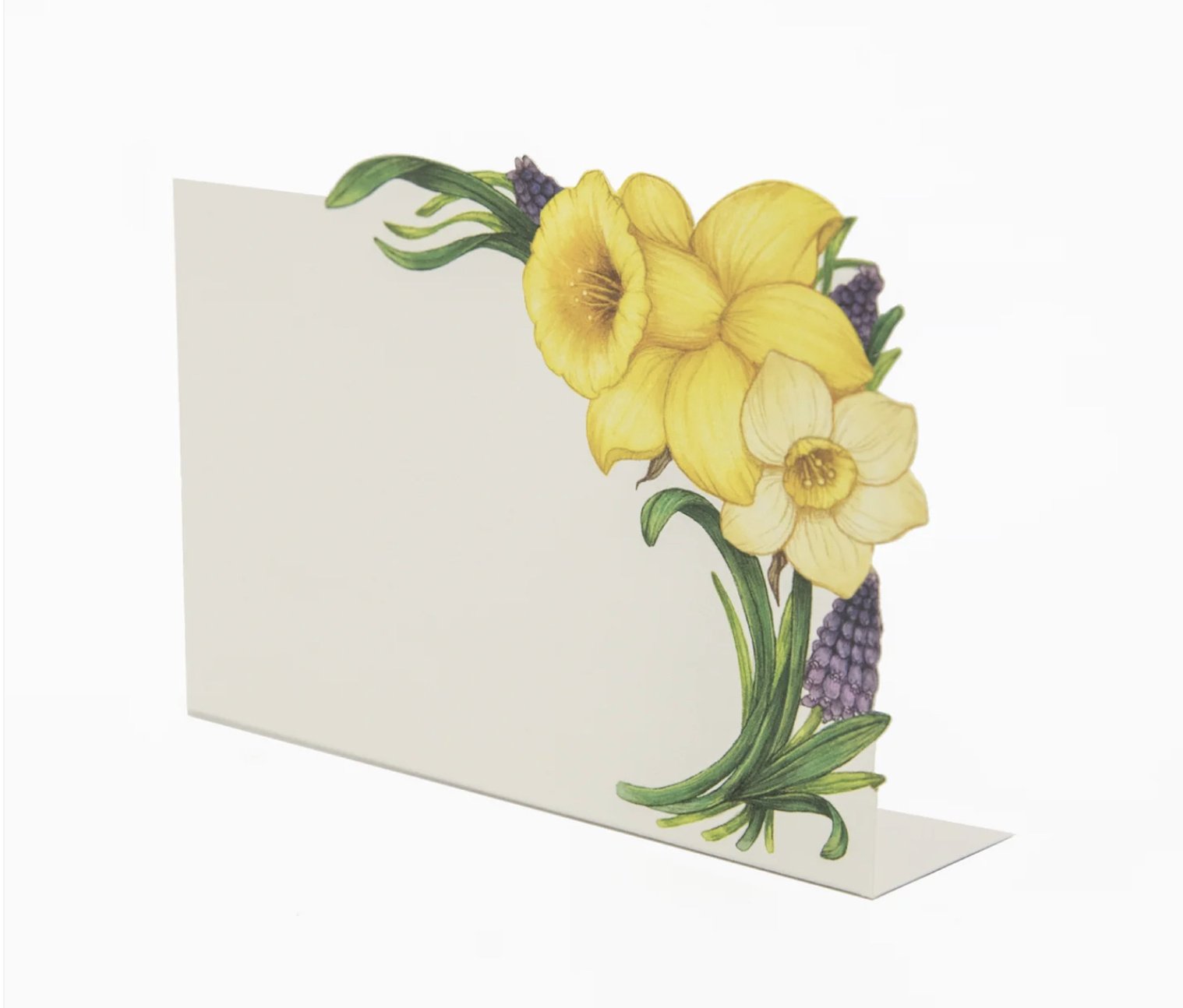 Hester & Cook Daffodil Place Card - Set of 12