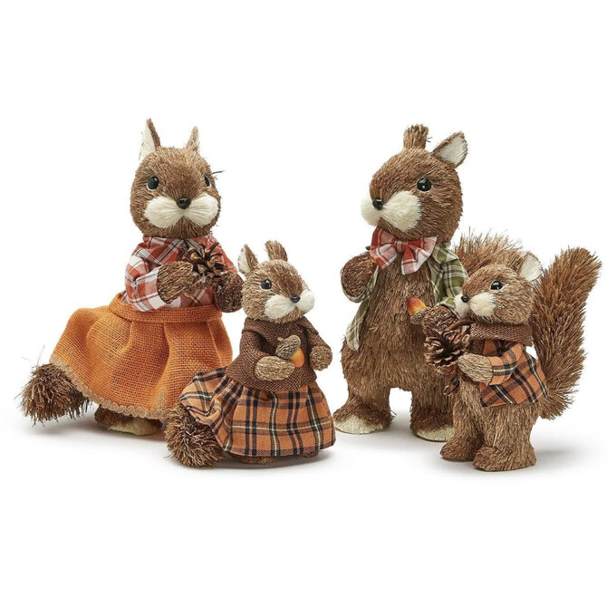 Two's Company Fall Friends Vintage Squirrel sml boy