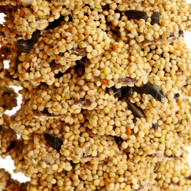 Mr. Bird Mr Bird Giant Pine Cone