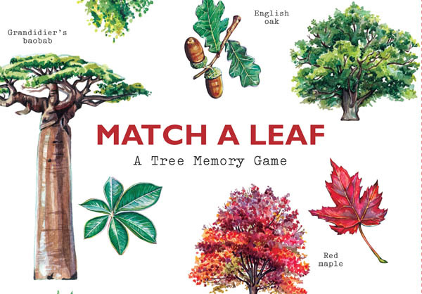 Match a Leaf - A Tree Memory Game - Adorn Goods