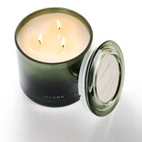 Illume Balsam & Cedar Statement Glass Candle