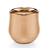 Illume Copper Leaves Gilded Tumbler Candle