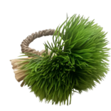 Deborah Rhodes Mossy Mound Napkin Ring