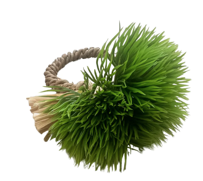 Deborah Rhodes Mossy Mound Napkin Ring