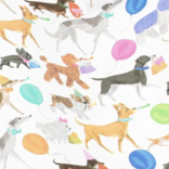 Caspari Winston and Friends Gift Wrapping Paper - 30" x 8' Roll