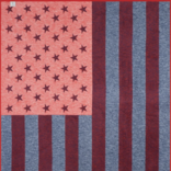Chappy Wrap American Flag Blanket