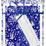 Jangneus Swedish Dishcloth & Tea Towel Bundle Coral-Blue