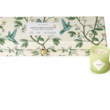 Two's Company Lemon Verbena and Quince Scented Candle Gift Set