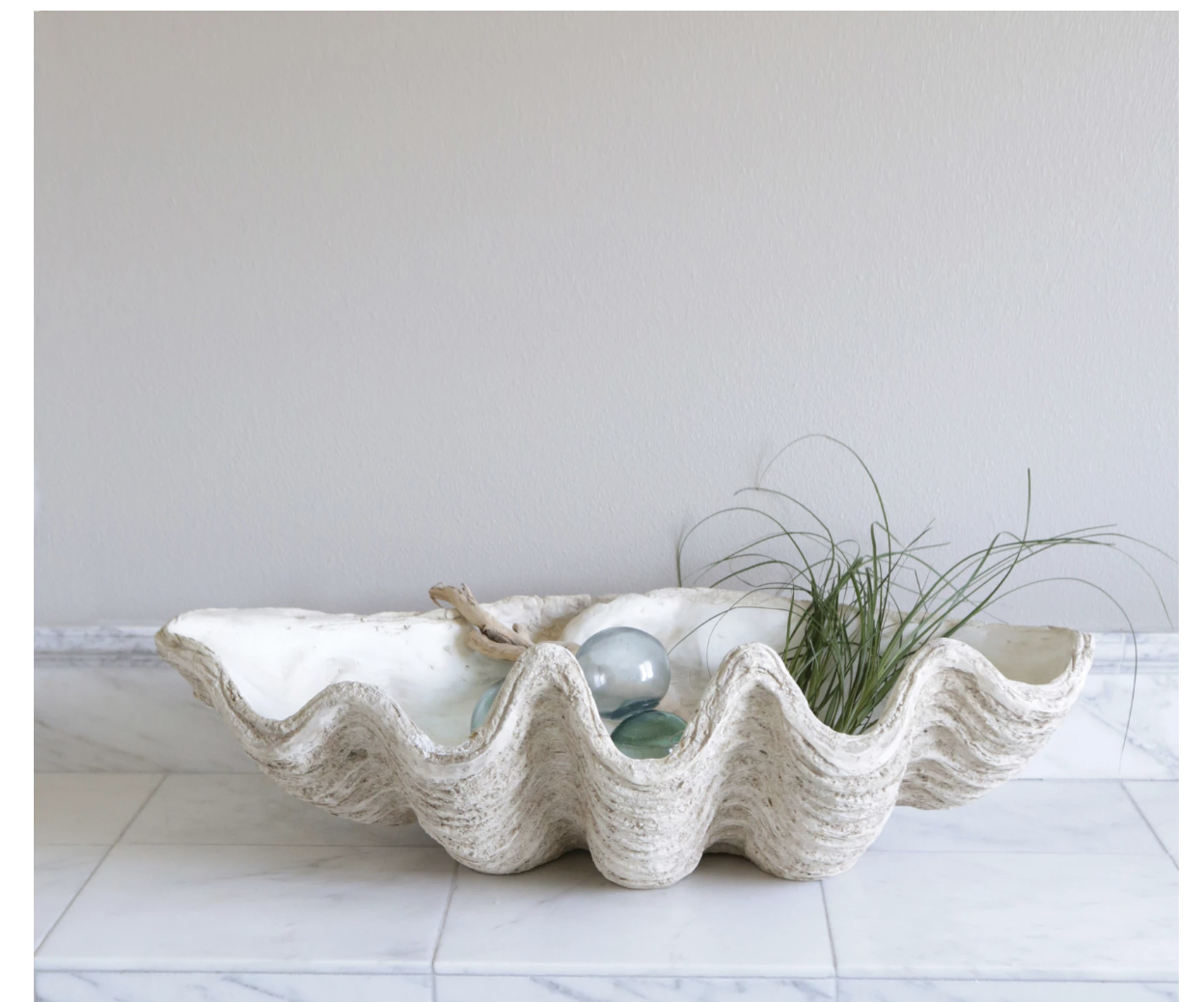 Creative Co-Op Magnesia Seashell Decor