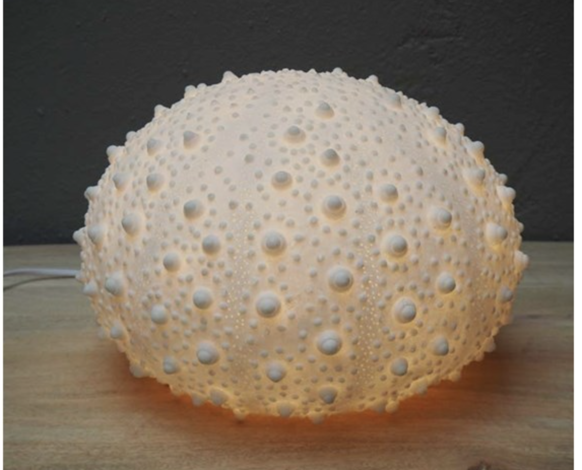 Chehoma Large Urchin Lamp