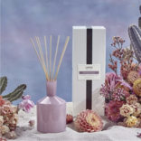 LAFCO Classic Desert House Diffuser - Midnight Cactus