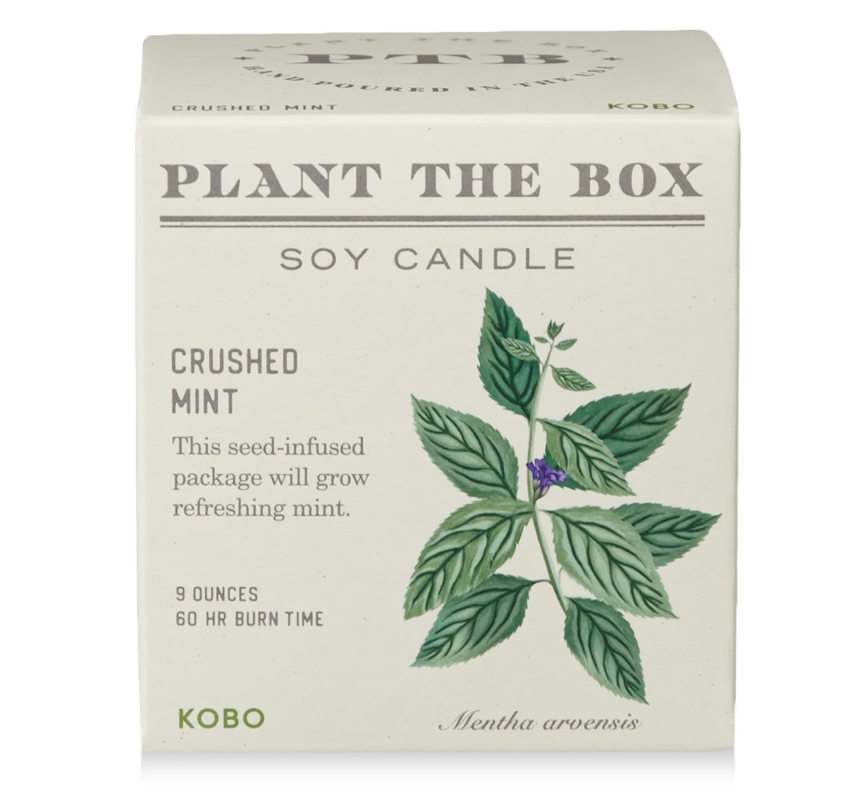 KOBO Crushed Mint Plant the Box Candle