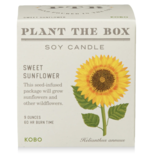 KOBO Sweet Sunflower Plant the Box Candle