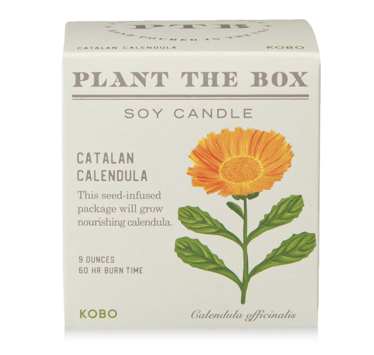KOBO Catalan Calendula-Plant the Box Candle
