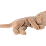 Maileg Sleeping Kitten - Cream Peach - Small