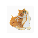Solar Eclipse Hand Painted kyoto Kitten Compact Mirror