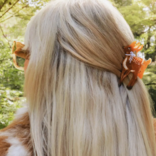 Solar Eclipse Hand Painted Fawn Claw hair Clip