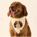 The Foggy Dog Turkey Applique Dog Bandana Large