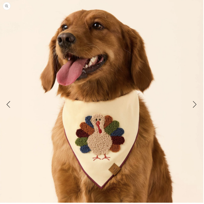 The Foggy Dog Turkey Applique Dog Bandana Medium