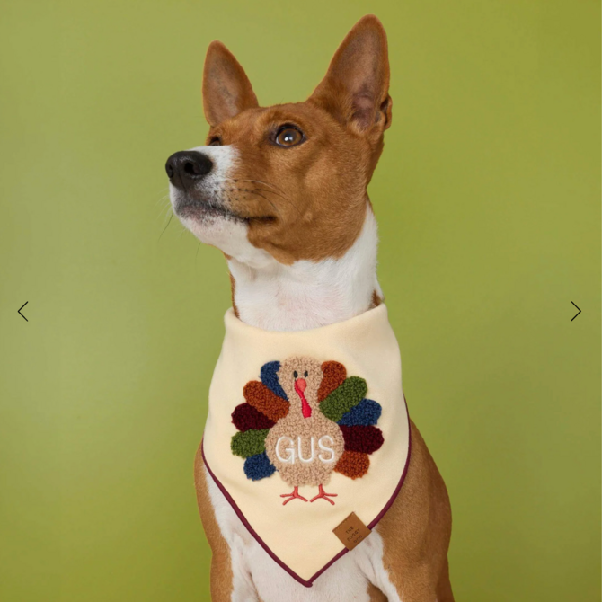 The Foggy Dog Turkey Applique Dog Bandana Small