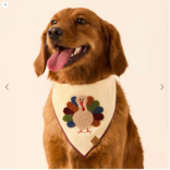 The Foggy Dog Turkey Applique Dog Bandana Small