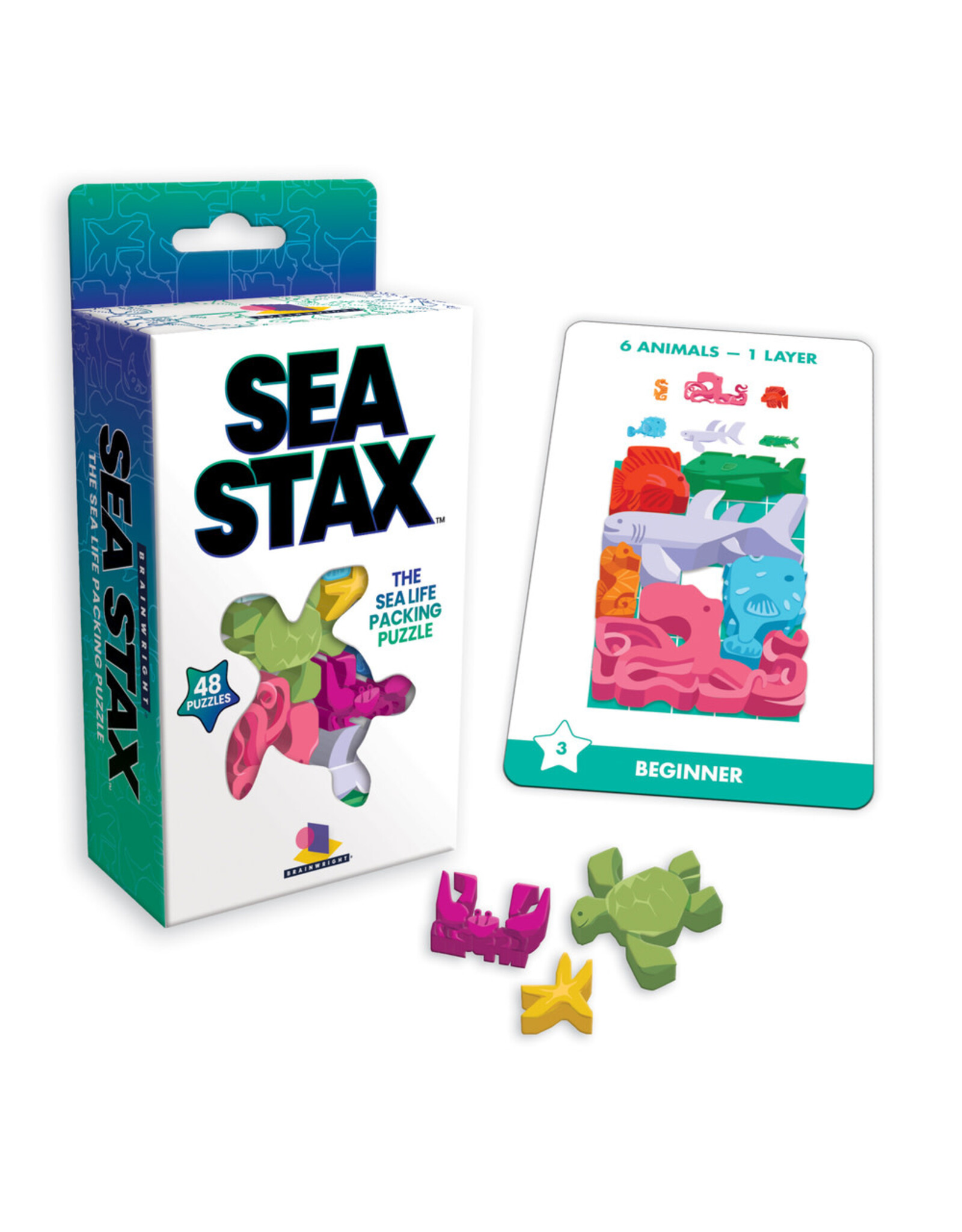 sea stax packing puzzle