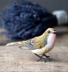 Feathered Songbird, 3 styles