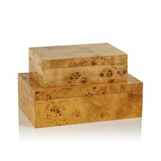 LPM Leiden Burl Wood Design Box, Small