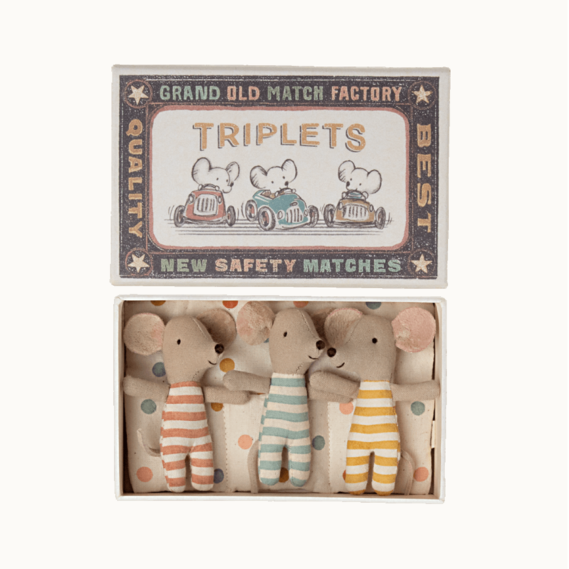 Triplets, Baby Mice in Matchbox