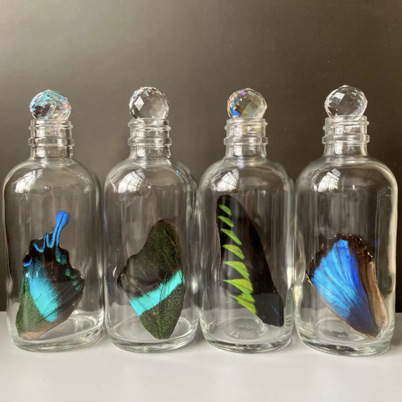 lsms XXL Bottle Special Wing, Swarovski Crystal
