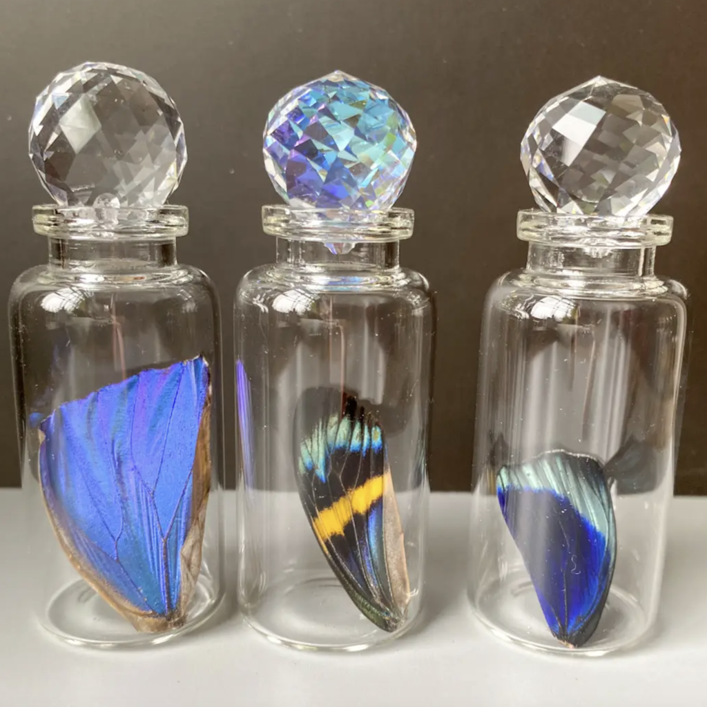 lsms Medium Bottle Special Wing, Swarovski Crystal
