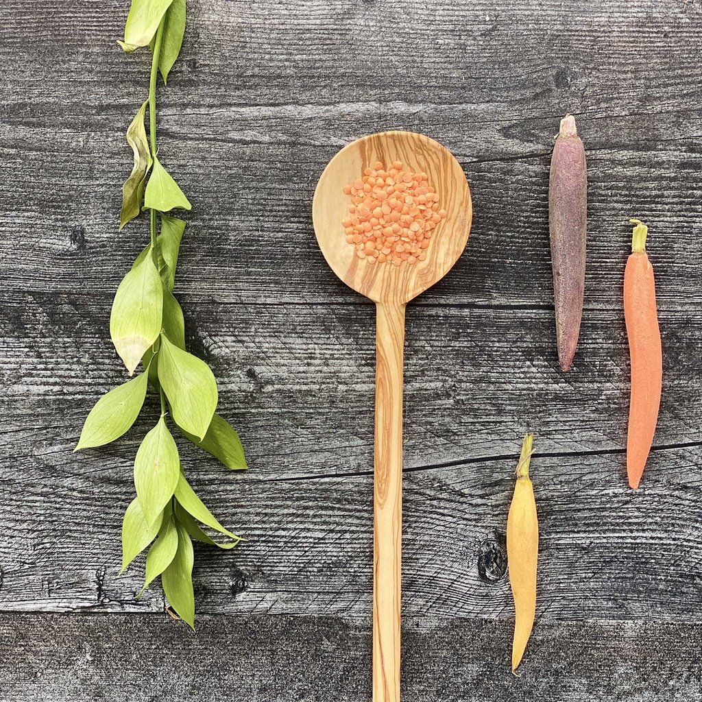 Olive Wood Modern Round Spoon