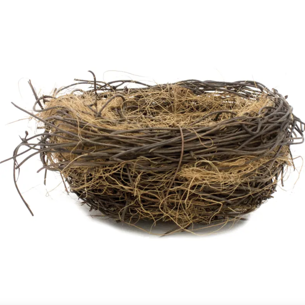 Large Bird Nest