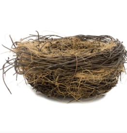 Large Bird Nest